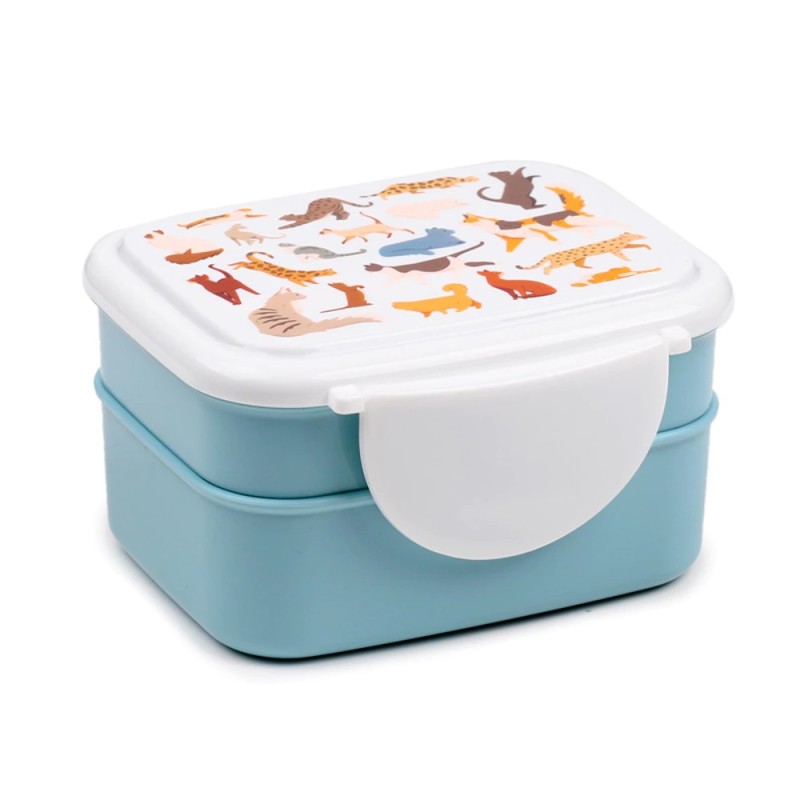 Lunch Box Cestino per la merenda con posate Bento con chiusura a clic e coperchio