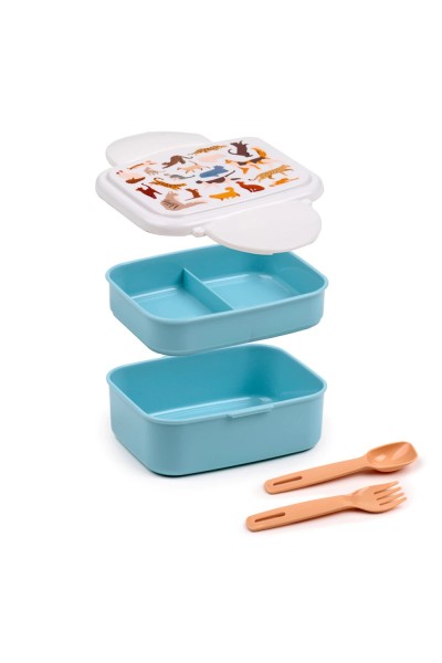 Lunch Box Cestino per la merenda con posate Bento con chiusura a clic e coperchio