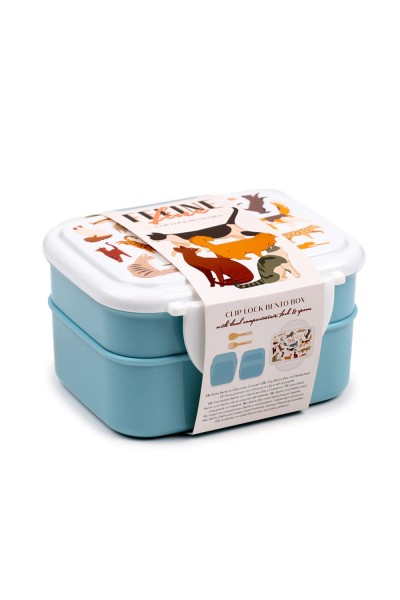 Lunch Box Cestino per la merenda con posate Bento con chiusura a clic e coperchio