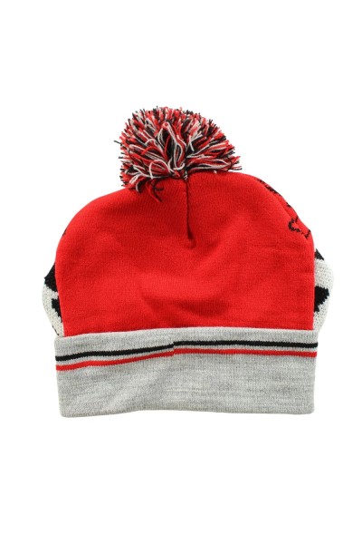 Berretto Invernale Bambino / Ragazzo con pompon Paw Patrol Marshall